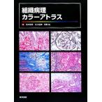  организация болезнь . цвет Atlas / Sakamoto .., север река ..,.. оригинальный [ работа ]