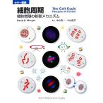  цвет map мнение маленький .. период маленький . больше .. управление механизм /te-bido*O. Morgan [ работа ], Nakayama . один, Nakayama ..[. перевод ]