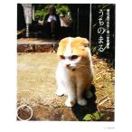 うちのまる 養老孟司先生と猫の営業部長/養老研究所【著】