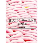 北のコンチェルト(2) 美の群像/柴橋伴夫【著】