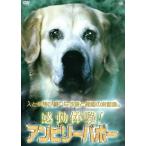  впечатление body .! Anne bi Lee babo-/ document * варьете,( документальный )