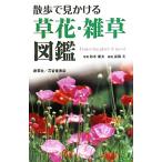 散歩で見かける草花・雑草図鑑/鈴木庸夫【写真】,高橋冬【解説】