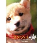 連続テレビドラマ マメシバ一郎 DVD-BOX/佐藤二朗,美