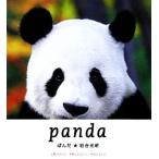  фотоальбом .../ скала . свет .[ работа ]