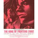  The * King ob Fighter z2002 Enterbrain mook/ Kadokawa группа pa желтохвост sing