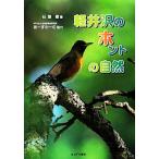 軽井沢のホントの自然/石塚徹【著】,あーすわーむ【協力】　
