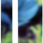 menino do rio/ мульти- na- задний 