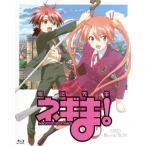  Mahou Sensei Negima!OAD Blu-ray BOX(Blu-ray Disc)/ красный сосна .( оригинальное произведение,..), Sato выгода .( лук-батун * springs fi