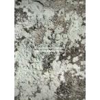 ショッピングg-dragon 2013 G-DRAGON WORLD TOUR[ONE OF A KIND in SEOUL]/G-DRAGON (from BIGBANG)