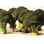MINIATURE LIFE/MINIATURE CALENDAR[ фотография * редактирование * дизайн ]