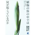  растения. body. среди. какой ........ ./. рисовое поле ..( автор )