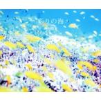 彩りの海/鍵井靖章(著者)