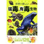  мир. прекрасный ..&amp; иметь . живое существо / сейчас Izumi . Akira 