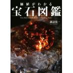 価値がわかる宝石図鑑/諏訪恭一(著者)