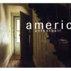 アメリカン・フットボール/アメリ�