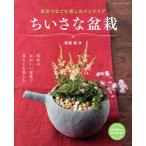 chi... бонсай . цветок ....... интерьер btik* Mucc / песок лес .( автор )