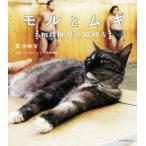  фотоальбом moru.mgi сумо часть магазин. кошка родители person /.. часть магазин ( автор ), передний рисовое поле ..