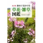  прогулка . видеть .... цветок *.. иллюстрированная книга модифицировано . версия / Suzuki . Хара, высота . зима 