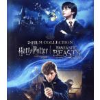  Harry *pota-.. человек. камень &amp; вентилятор ta палочка * Be -тактный . Mahou Tsukai. . магия. мир входить . комплект (Blu-