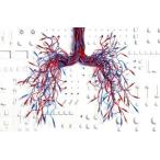 ショッピング星野源 DOME TOUR “POP VIRUS” at TOKYO DOME(初回限定版)(Blu-ray Disc)/星野源