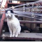 必死すぎるネコ 〜前後不覚篇〜 タツミムック/沖昌之(著者)