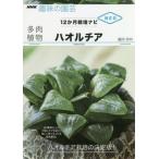  суккулентное растение - oru Cheer 90 вид и больше. - oru Cheer . ознакомление. красивый ...kotsu. тщательный описание. NHK хобби. садоводство 12. месяц культивирование navi 