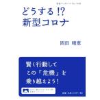  что делать!? новая модель Corona Iwanami буклет No.1026/ холм рисовое поле ..( автор )