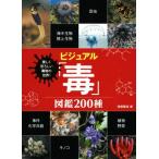  visual [.] иллюстрированная книга 200 вид красивый ..... предмет. мир!/. глициния ..( автор )