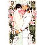 白虎と政略結婚 ビーボーイノベルズ/櫛野ゆい(著者),笹原亜美(イラスト)