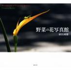  фотоальбом овощи. цветок фотография павильон /. сосна . самец ( автор )