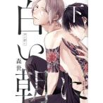  белый утро .( внизу ) POE BACKS/ лес .( автор )