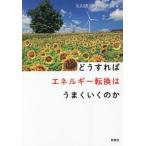 .. если так энергия преобразование. хорошо ... ./ Maruyama ..( сборник человек ), запад замок дверь .( сборник человек )