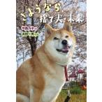 さようなら、捨て犬・未来/今西乃子(著者),浜田一男(写真家)