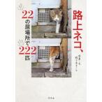 路上ネコ、22の居場所で222匹/佐々木まこと(著者)