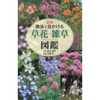 散歩で見かける草花・雑草図鑑 新版/鈴木庸夫(写真家),高橋冬