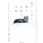 捨てられた僕と母猫と奇跡 心に傷を負った二人が新たに見つけた居場所/船ヶ山哲(著者)
