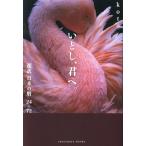 いとし、君へ。 超訳日本の暦 24+72 Sanctuary books/koto(著者)