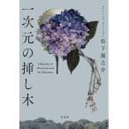 一次元の挿し木 宝島社文庫 『このミス』大賞シリーズ/松下龍之介(著者)