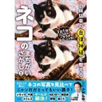 小林弘幸の自律神経を整えるネコのまちがいさがし(2)/小林弘幸(著者)