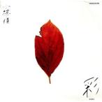 ../ Ogura Kei 