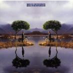  скунс Works / блюз *ti gold son