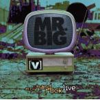  твердый * блокировка * жить /MR.BIG