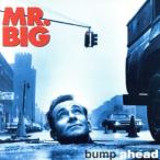  bump *a head /MR.BIG