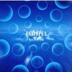 ショッピングSelection Best Selection/CASIOPEA