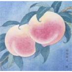 ショッピング桃 桃/槇原敬之