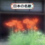 日本の名歌/(オムニバス)