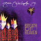  Рождество * альбом : breath *ob*hevun~ Hori tei* коллекция / свечение va-* Washington Jr., высокий la