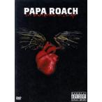  Chicago . человек жить / папа * low chi