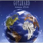hyu- man * Zoo /goto твердый 