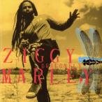  Dragonfly /jigi-*ma- Lee 